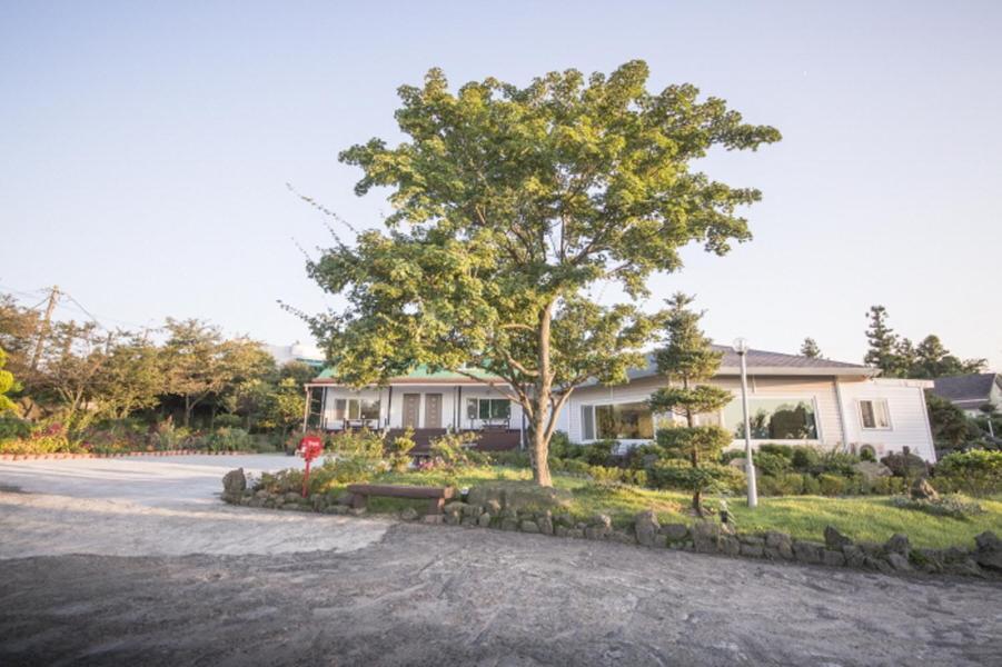 Sunyang Village Pension 济州市 外观 照片